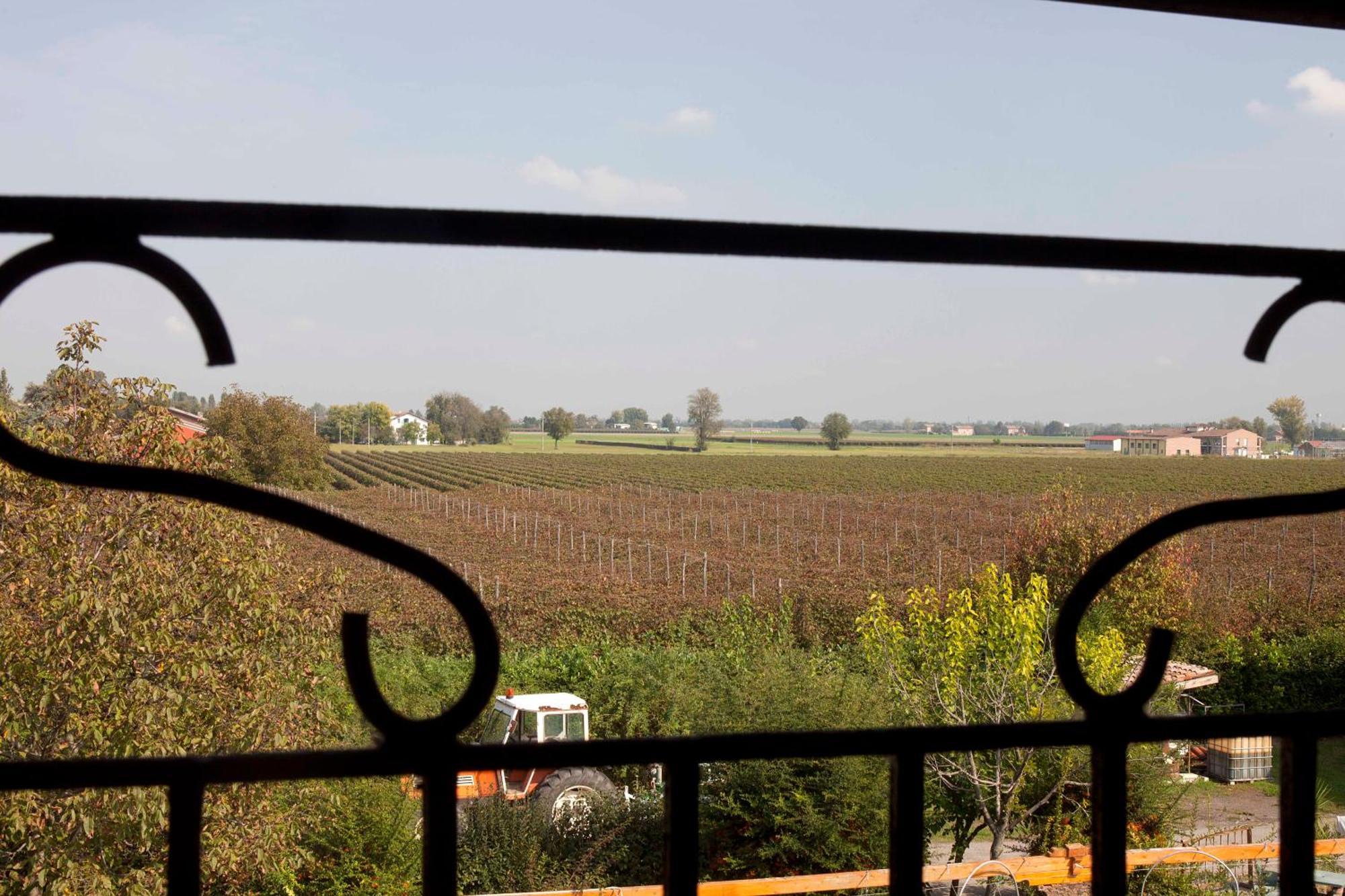 Agriturismo Il Bove Reggio Emilia Exterior photo